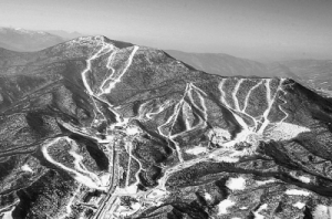 ��ѩ��ս����ʱ���ǲ����Ժ�ȡʤ(ͼ)