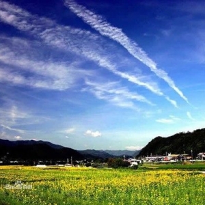 �㽭�ɾ��Ͳ˻��ڶ����Լ��ι���