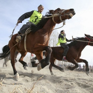 ����˹�ڱ�������������� ���ֲ�������