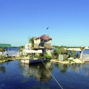 ������15������ƿ��Ư���� ������������Ů���