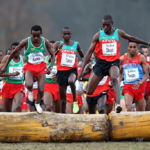 ����ԽҰ���������׶��й����� ���¾�41����ʷ