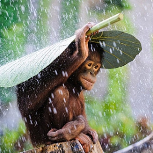 2015����������Ӱ����������Ʒ�ع�