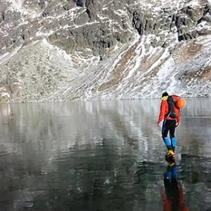 ˹�工��ͽ�����ں��������� ��Ө��͸���Ŀ���