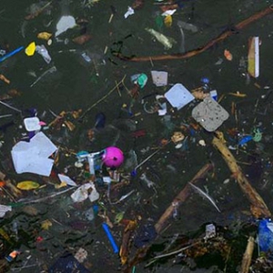 ȫ��������������5���ڿ� ��������2�Ҵ�����