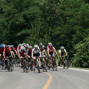 �׽컷۶�����������δ��20�ս�������