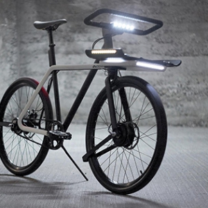 ������MARMOT��� С���������г�������Ϊ