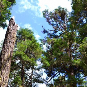 ����ʱ��������"̽���й���������"��ļ־Ը��